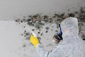 Best Mold Odor Removal Services  in Republic, PA